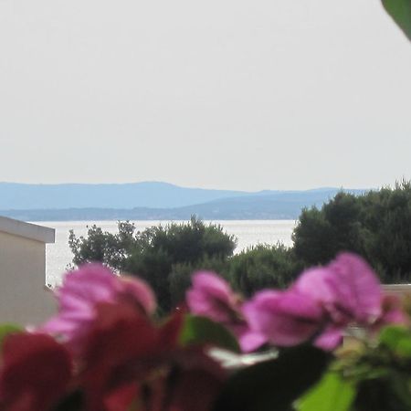Apartments Villa Violet Ζαντάρ Εξωτερικό φωτογραφία